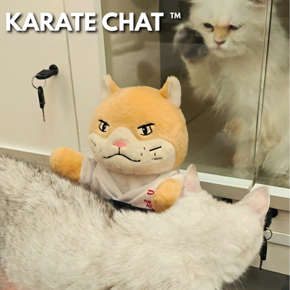 Le Karaté Chat™
