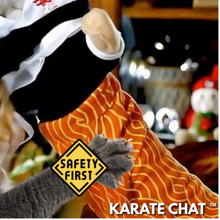 Le Karaté Chat™