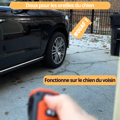 RoyalPaw™ - Ultrasons doux pour une maison paisible