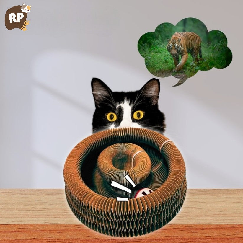 RoyalPaw™ - Griffoir pour chat